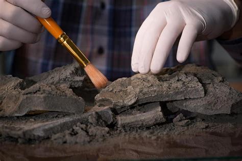 15-carbon dating rock sediment