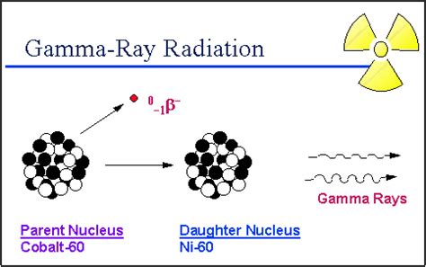 16-radioactive cobalt